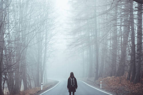 Nebel, Weg, Person